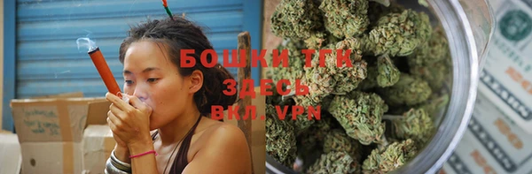 ПСИЛОЦИБИНОВЫЕ ГРИБЫ Арсеньев