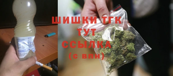 ПСИЛОЦИБИНОВЫЕ ГРИБЫ Арсеньев