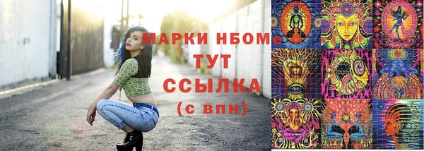 ПСИЛОЦИБИНОВЫЕ ГРИБЫ Арсеньев