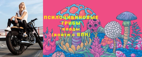 ПСИЛОЦИБИНОВЫЕ ГРИБЫ Арсеньев