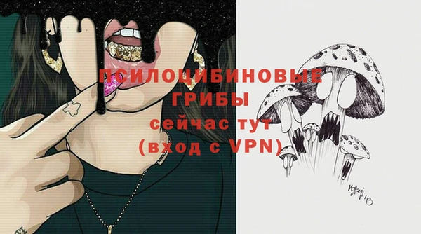 эйфоретик Аркадак