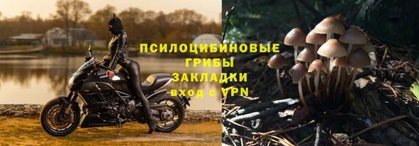эйфоретик Аркадак