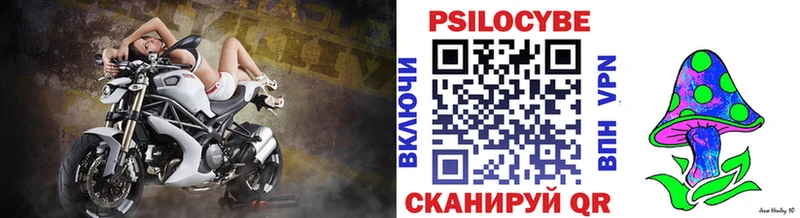 Галлюциногенные грибы Cubensis Обоянь