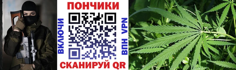 Купить  Обоянь  Конопля гибрид 